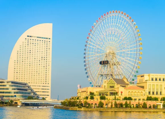 Book Your Flight to Find Best Places to Visit in UAE United Arab